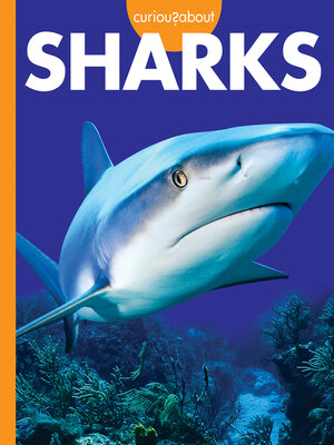 cover image of Curious about Sharks